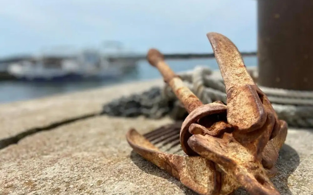 Žare - With Garden - A2