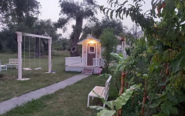 Amelia's Garden