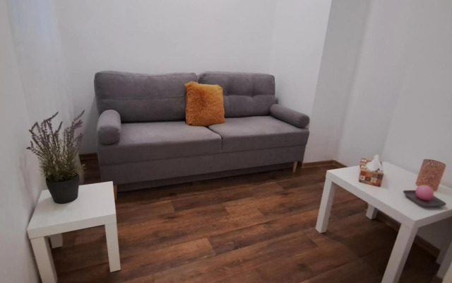 Sweet 16 Apartment in the Party District