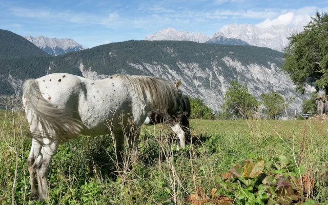 Lush Apartment With Swimming Pool in Silz