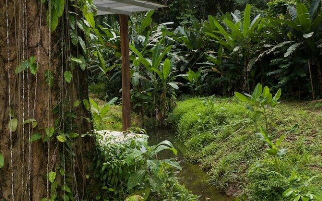 Sonora Caribbean Jungle Retreat