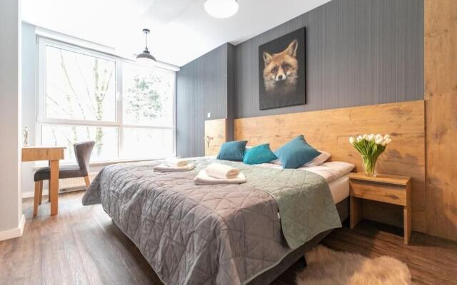 Kurort Kozubnik - Kiczora - Dream Apart