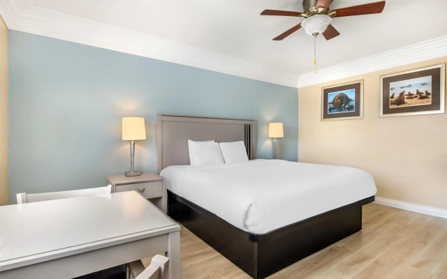Best Western Tradewinds