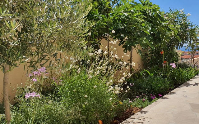 Apartment Dvije Palme-Baranjska