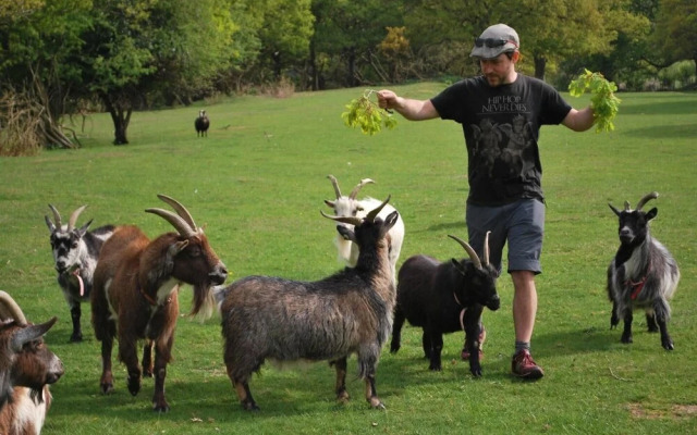 Idlewild Animal Sanctuary Farmhouse Stay - Charity