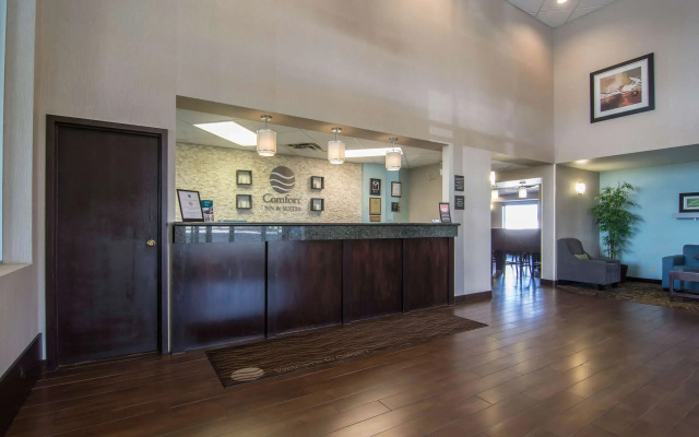 Comfort Inn & Suites Airport South