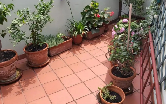 Palazzo Salem M1 Roof Garden