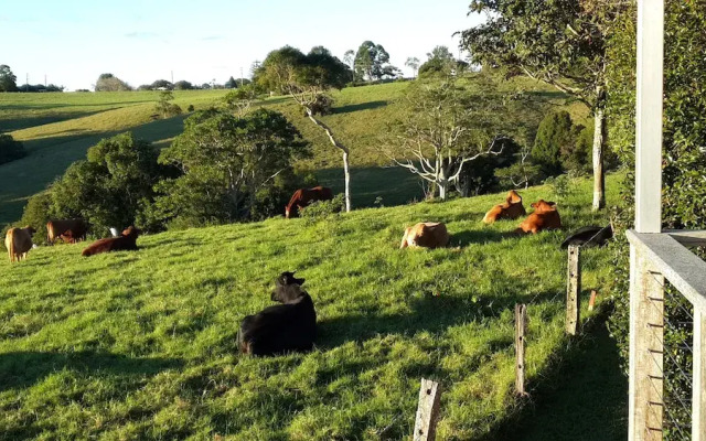 Seasons of Maleny B&B