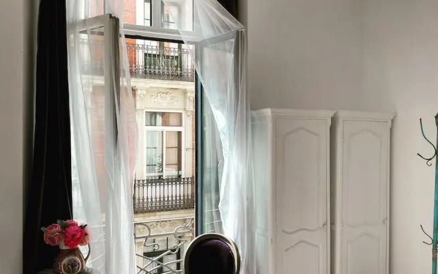 Purple Dog Suites