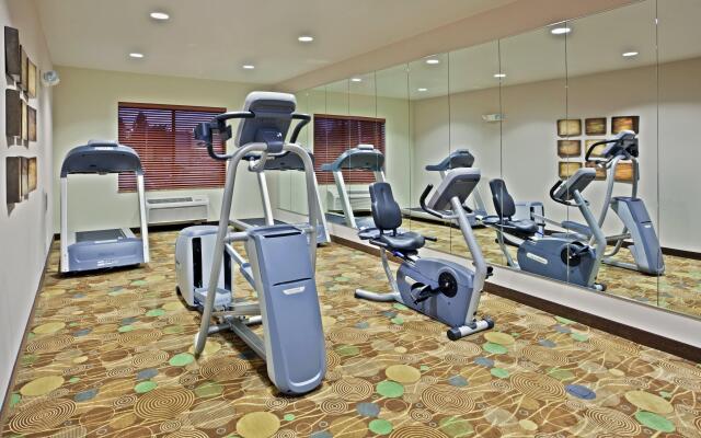 Holiday Inn Express Hotel & Suites Vancouver Mall by IHG