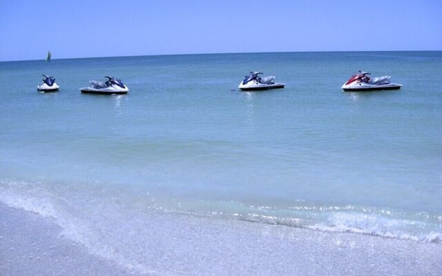 Anna Maria Island Beach Palms 7A