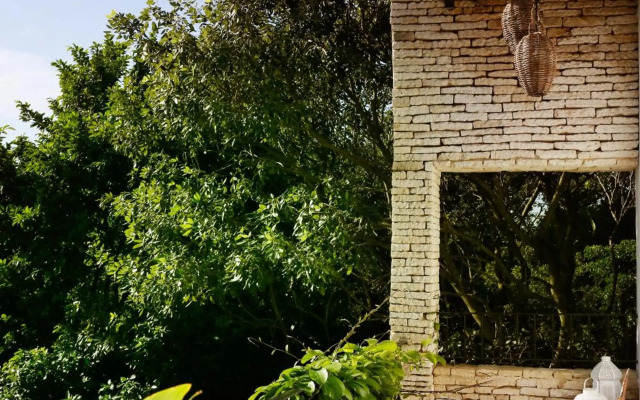 Hotel La Semilla, Playa del Carmen, a Member of Design Hotels - Adults Only