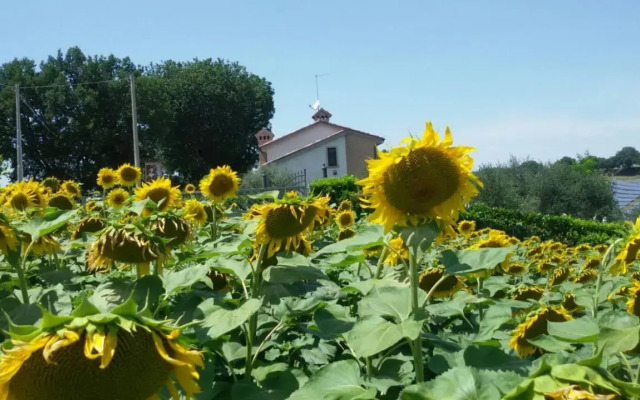 B&B Principerto