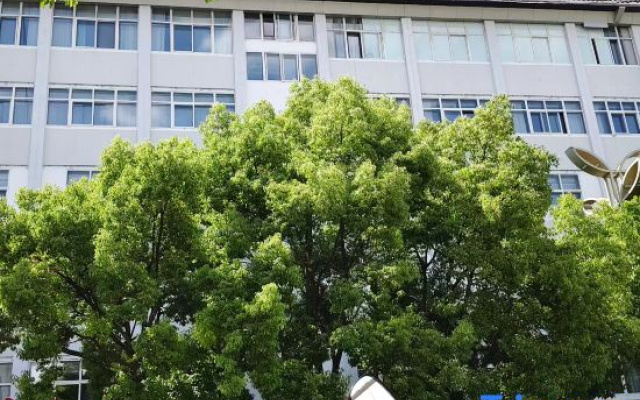 Jingjiu Caitong Grand Hotel (Zhaotong Phoenix Food City) – Exterior – Zhaotong