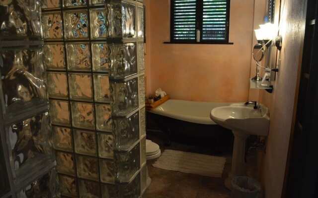 Rainforest Inn