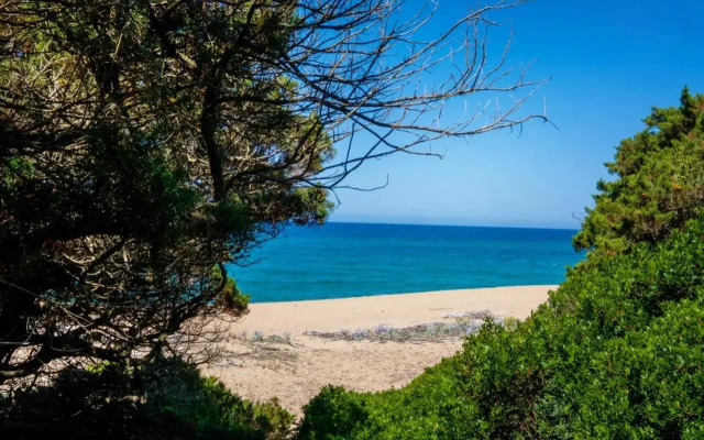 Rikia Seaside House