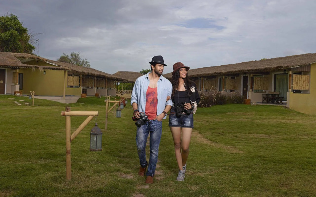 Asiatic Lion Lodge