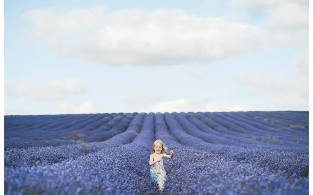 La Petite Ruche, 1 bedroom Gite in the Luberon