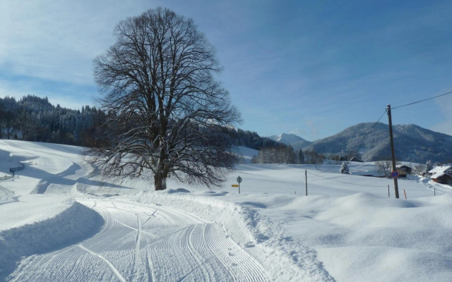 Ferienwohnung Panorama