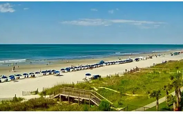 Peppertree By The Sea