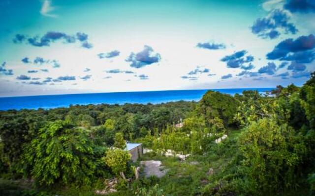 Ackee Tree Sea View Villa