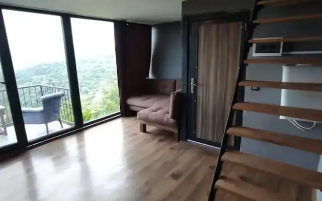 Vadi Panaroma Dag Evleri