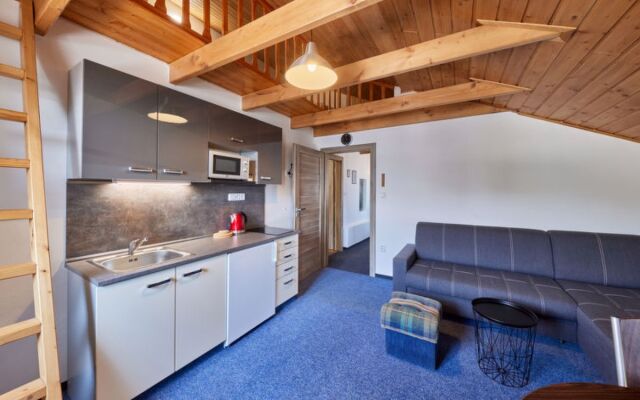 Apartment Marika 2 Cerny Dul
