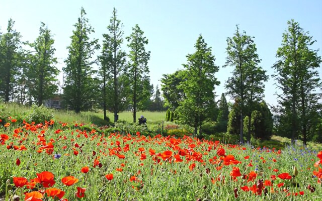 Taean Golden Chive Pension