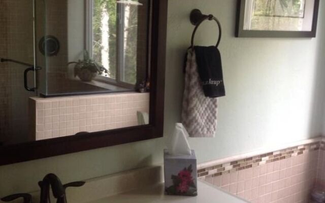 Mooseberry Cabin, Willow AK