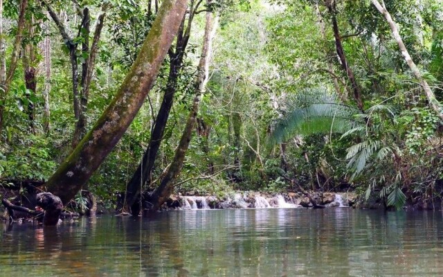 Lower Dover Jungle Lodge & Maya Ruins - Hostel