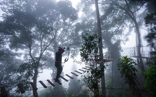 Tea Valley Resort