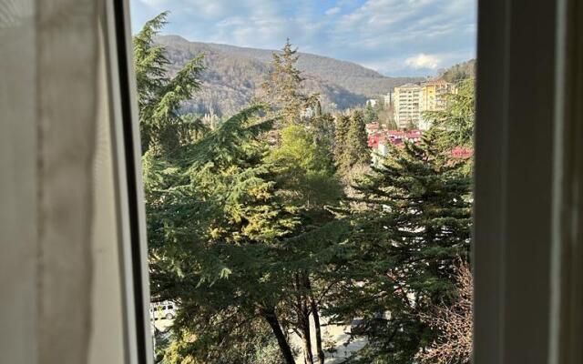 Апартаменты на Краснополянской