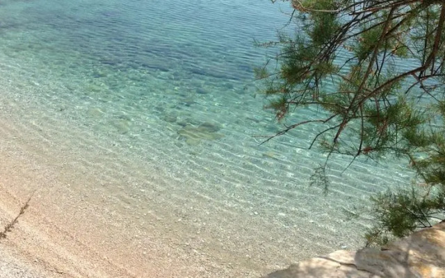 Apartment Beach House