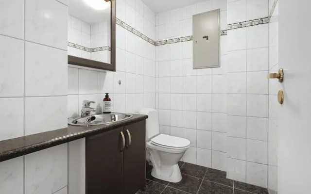 Arctic Homes - Downtown Penthouse