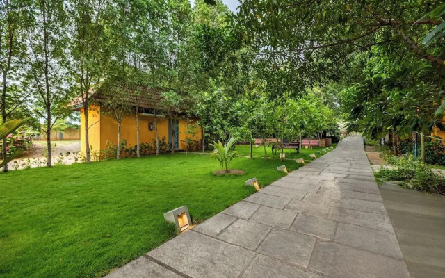 Sterling Hibis Vellore