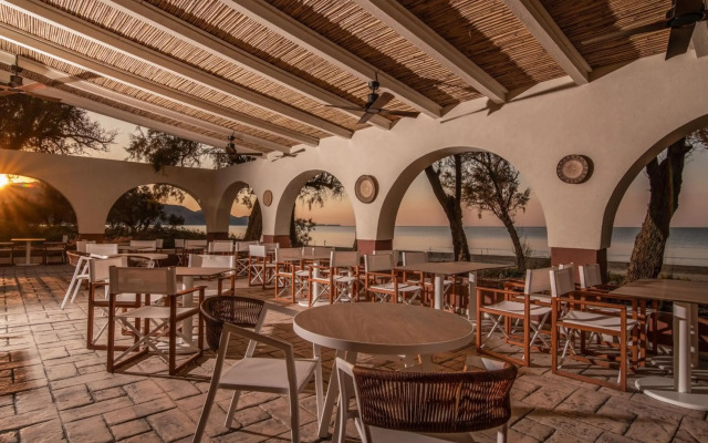 Domes Aulus Zante, Autograph Collection