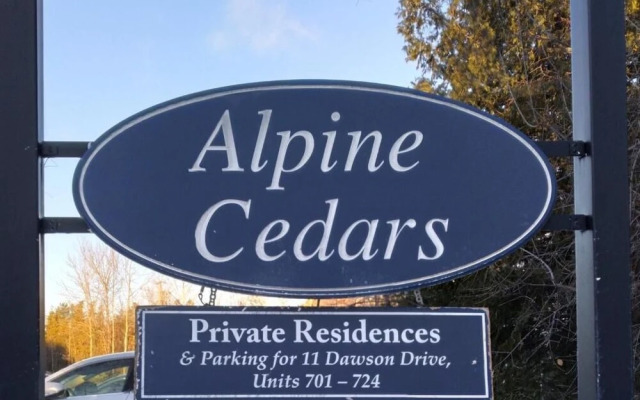 The Nordic -Central Collingwood Condo