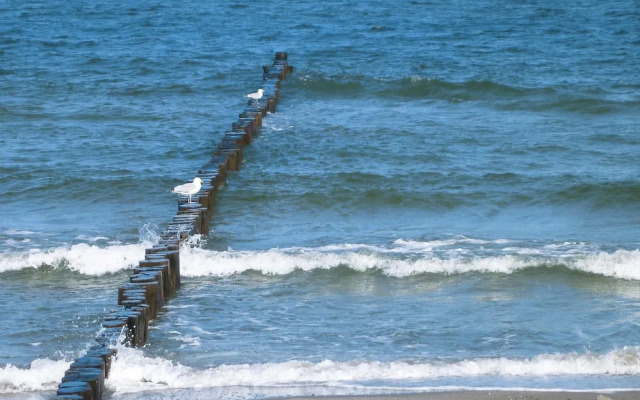 Ferienwohnung Villa Nicole in Zingst