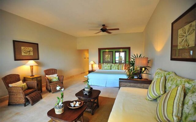 Xeliter Golden Bear Lodge