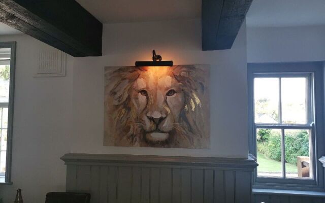 The Lazy Lion