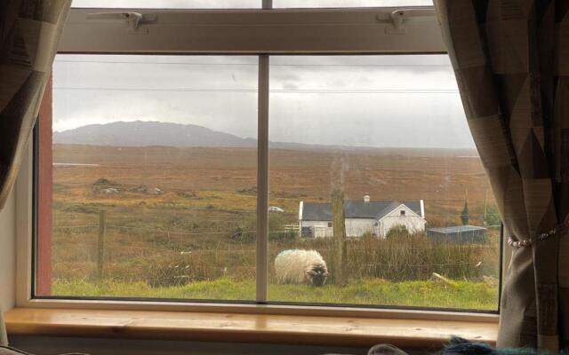 Cottage 427 - Clifden