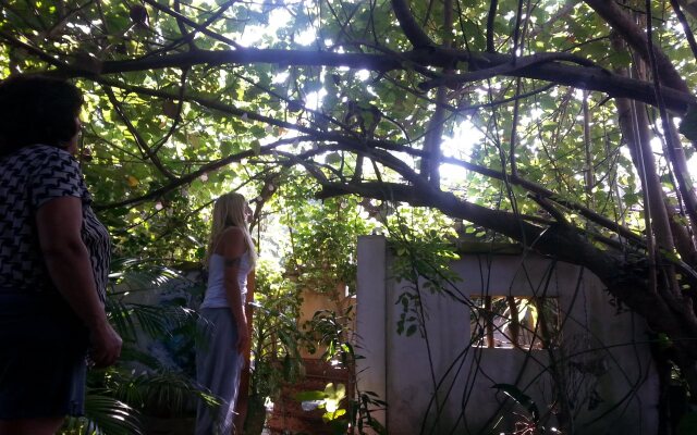 Minara Guest House