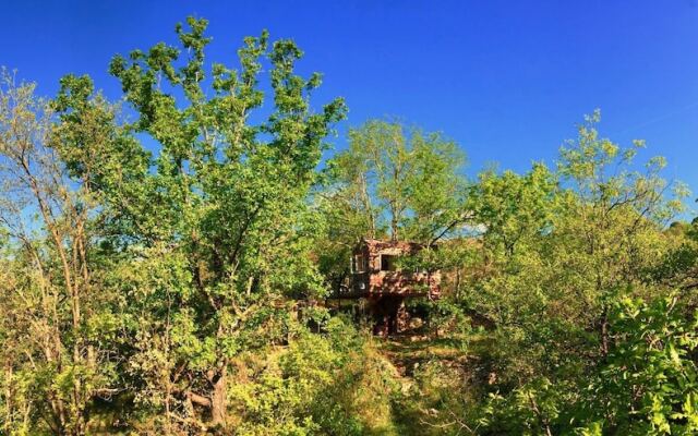 Wild Boar Mountain - France