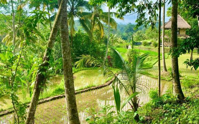 Masakali Retreat