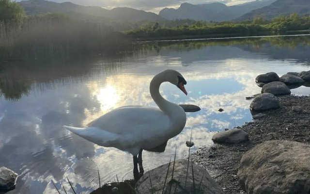 Elterwater Park Country Guest House