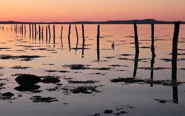 Hotel Fairmont Algonquin - Studio