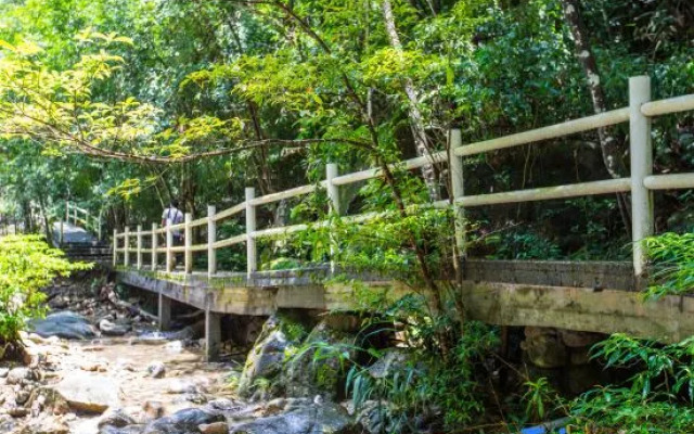 New Taoyuan Mountain Village