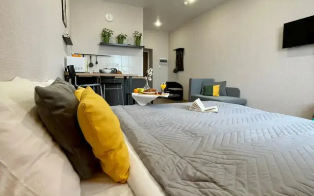 Апартаменты на улице Куйбышева 109А