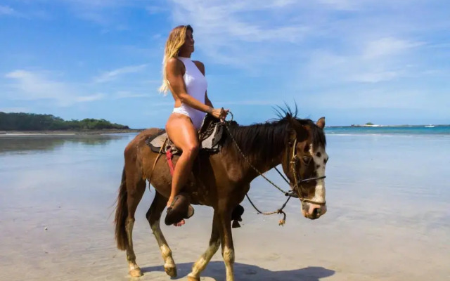 Tamarindo Surf Camps by Selina Surf Club - Hostel