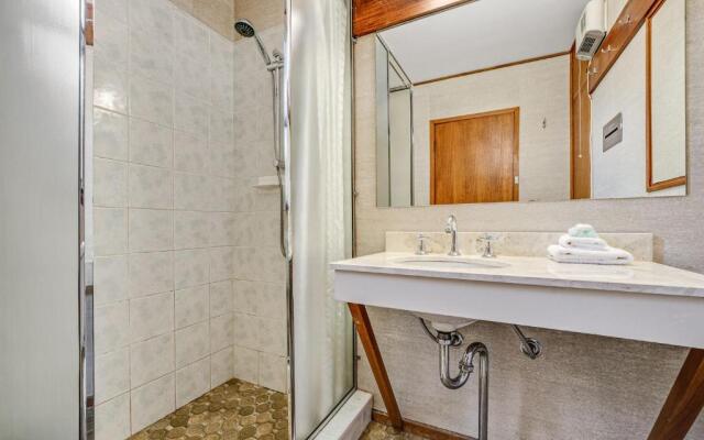 Grey Kangaroo- On Lake Jindabyne foreshore